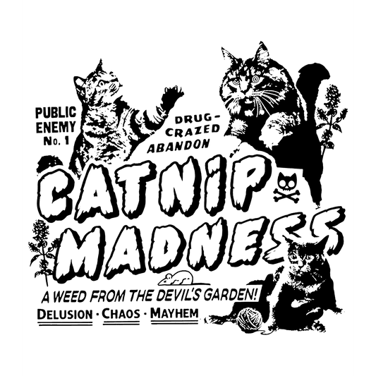 FV23 99 Cat Nip Madness Full Color DTF Transfer - Pro DTF Transfers