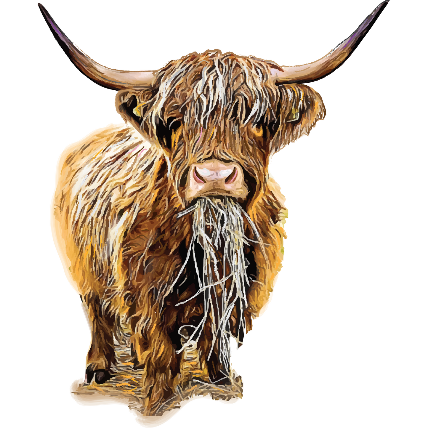 Highland Cow Full Size Full Color DTF Transfer - Pro DTF Transfers