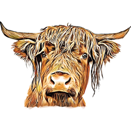 Highland Cow Full Color DTF Transfer - Pro DTF Transfers